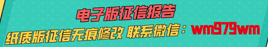 个人征信报告pdf无痕修改--微信：wm979wm