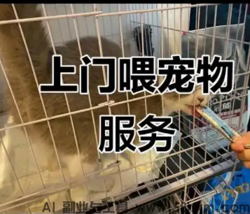 不上班怎么挣钱？做本地上门宠物喂养，一个人也能起步
