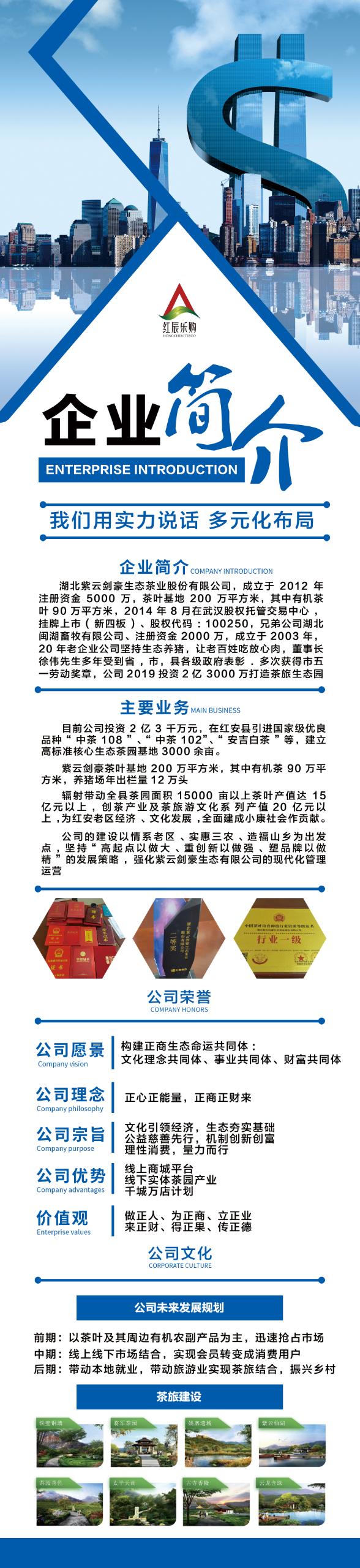 商机就在眼前，你能不能抓住？红辰乐购火爆公测上线，实体大企业，随时可以考察，老板站台！