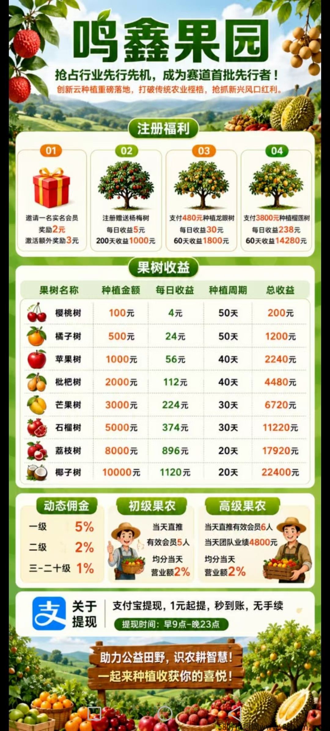 haiou_chat_1374839051106127872_200045acbc33cd7b5fd58d902319be84.jpeg