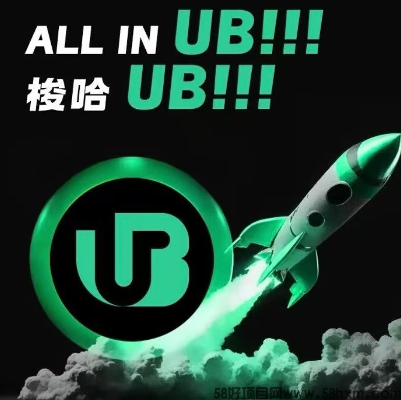 贝莱德投资Ubit：加密数字货币的未来与机会