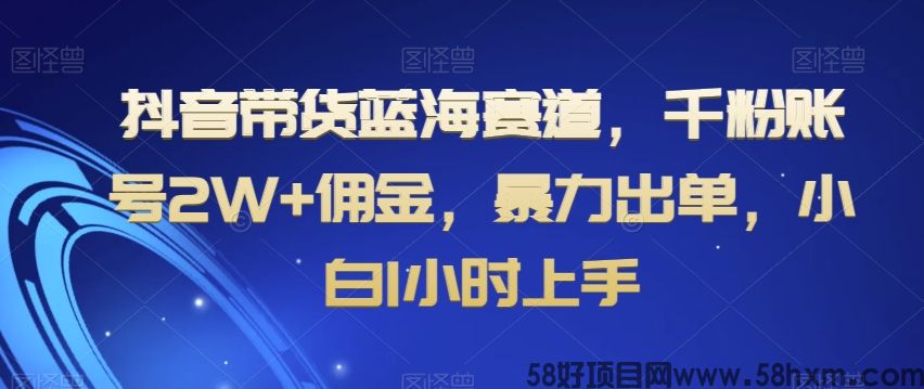 抖音带货蓝海赛道，千粉账号2W+佣金，暴力出单，小白1小时上手