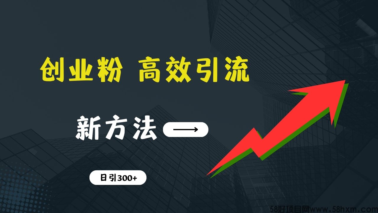 快速引流创业粉：抖音工具号日引300+实战技巧，创业粉引流全攻略，只做实战高手