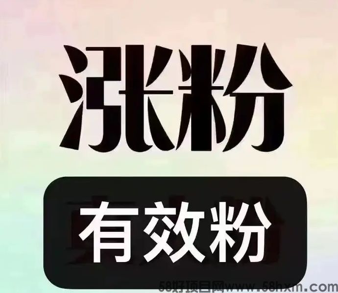 如何赚到人生第一个100万？抖音黑科技野路子闷声发财轻创业项目，快手视频号挂铁涨粉丝神器，招募合伙人