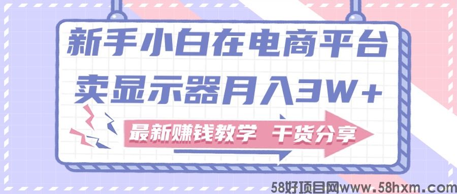 新手小白如何做到在电商平台卖显示器月入3W+，最新赚钱教学干货分享