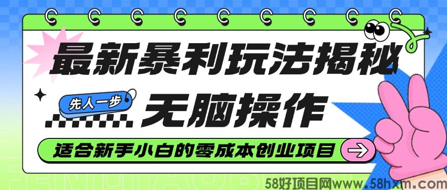 最新网创项目，新手小白轻松上手的躺赚项目