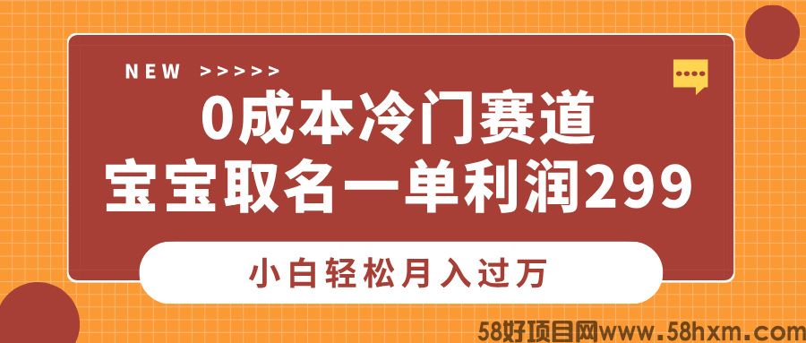 0成本冷门赛道，宝宝取名一单利润299，小白轻松月入过万