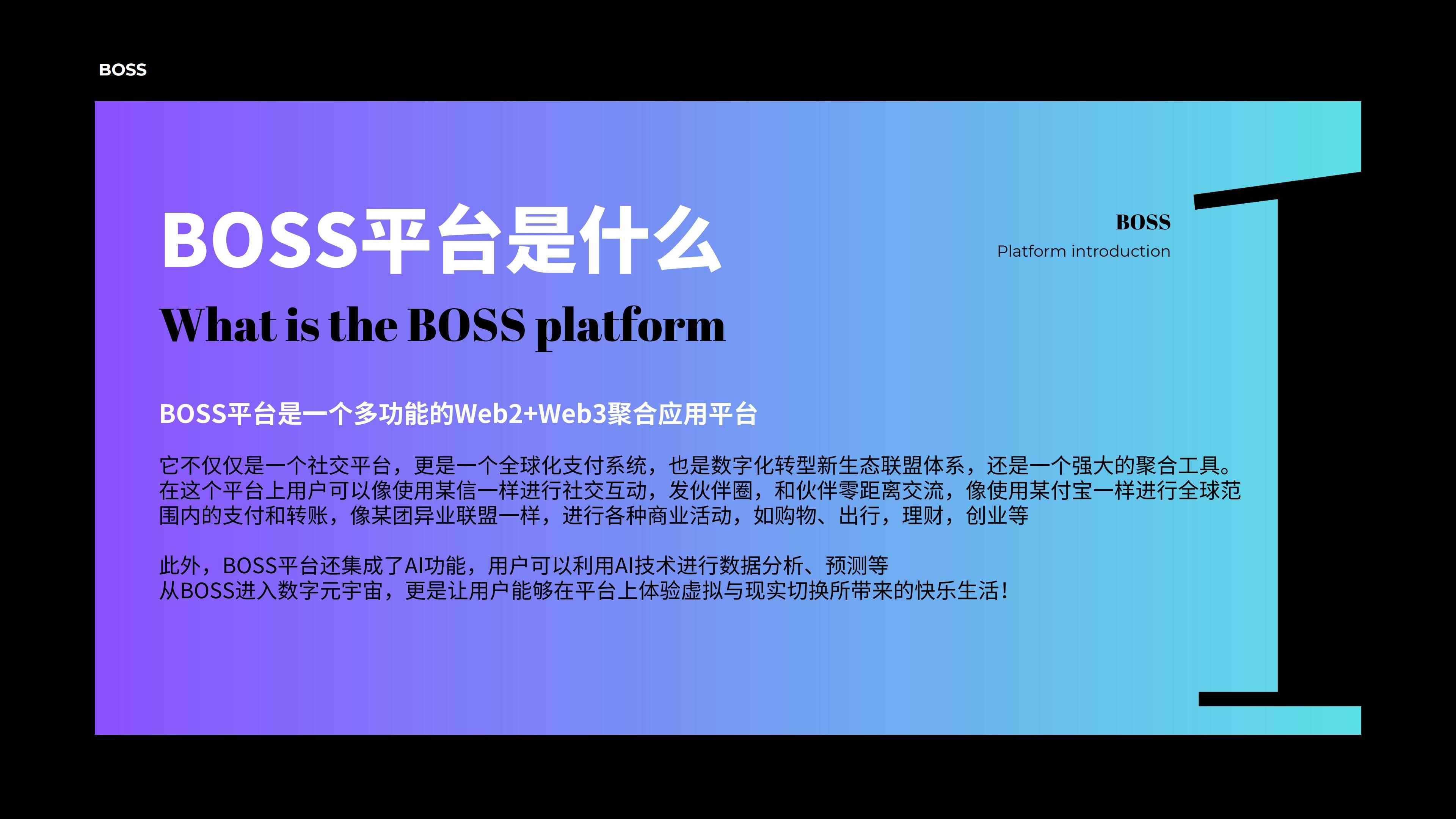 BOSS介绍  副本_02.jpg