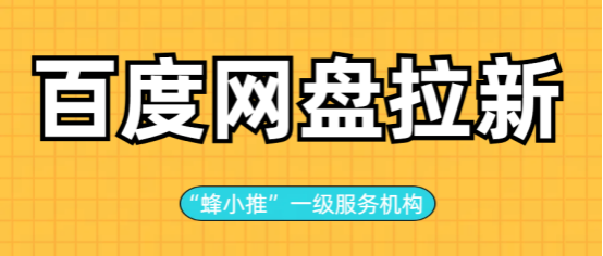 蜂小推：现在开始不晚！用资源撬动百度网盘拉新   