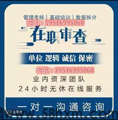 电子版征信报告无痕修改编辑页面