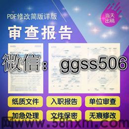 征信报告PDF电子版无痕修改sq进行优化美化