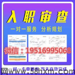 成功个人征信pdf无痕修改美化入职方法