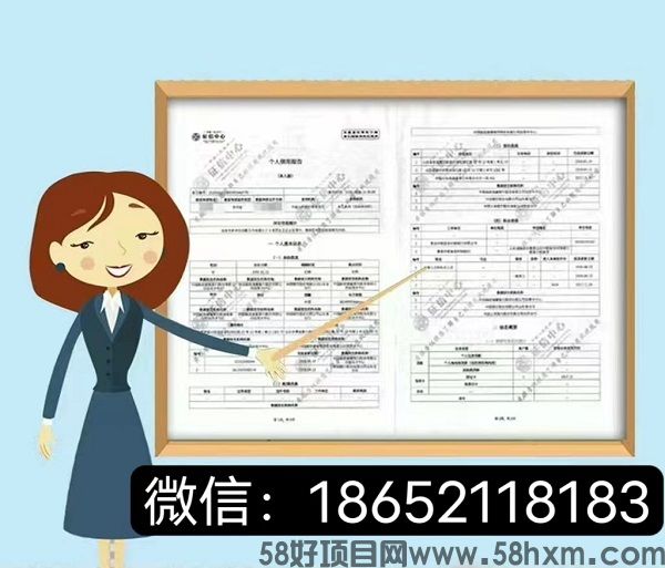 新版个人入职征信报告pdf无痕修改大师解析