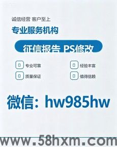 入职征信报告PDF修改逾期呆账无痕处理技巧